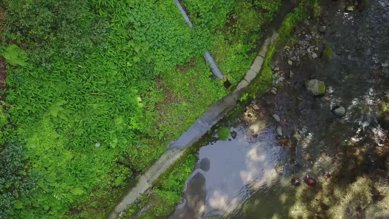 動画を読み込む: 